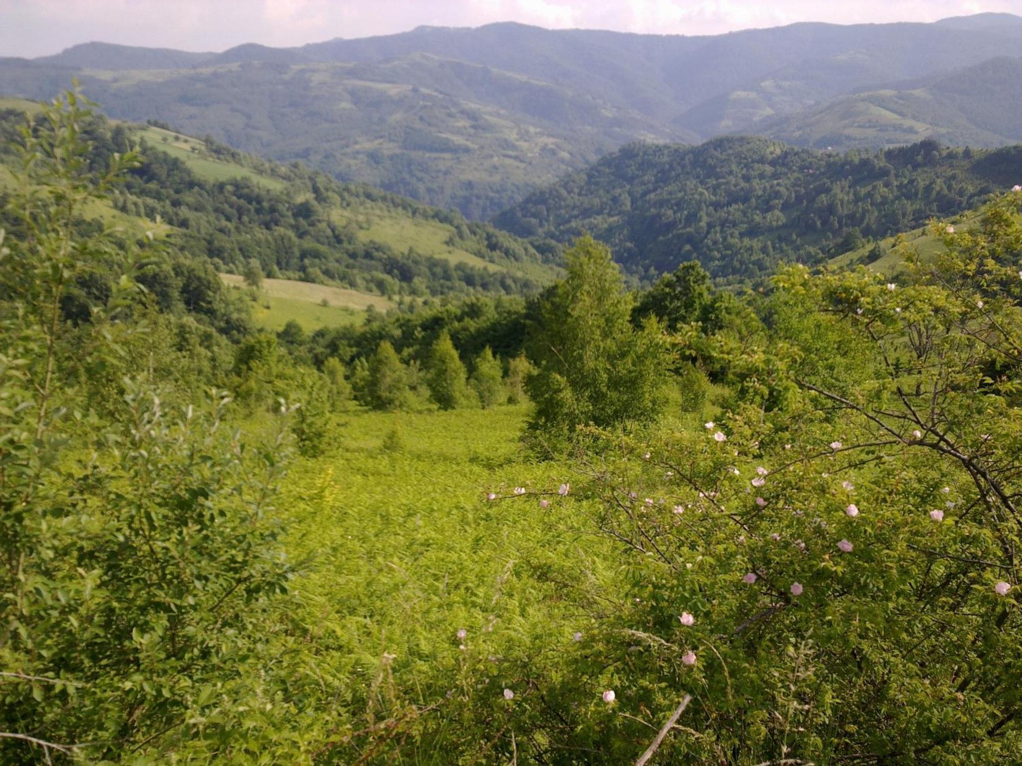 Hotel Javor Kušići Zewnętrze zdjęcie