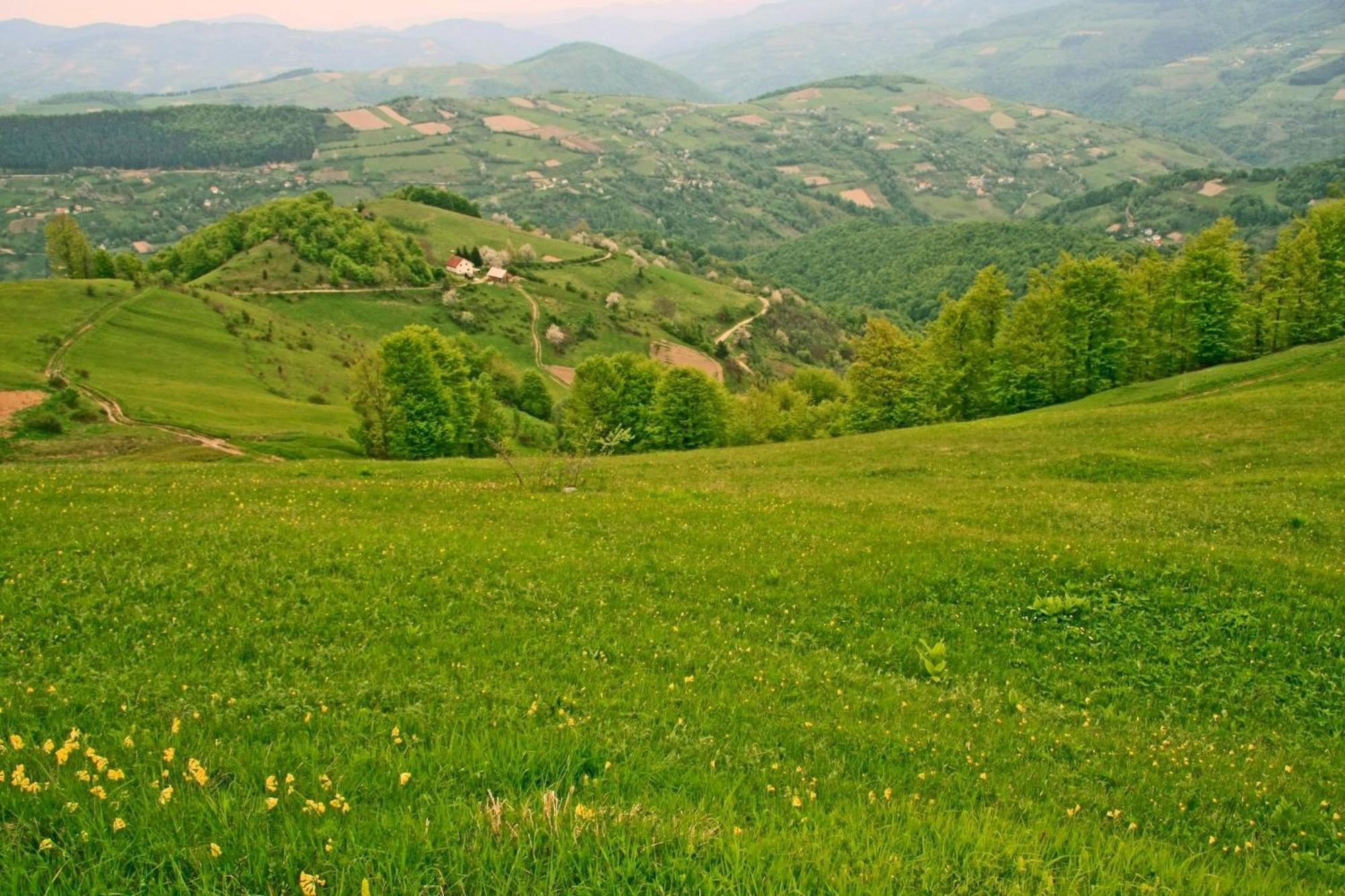 Hotel Javor Kušići Zewnętrze zdjęcie